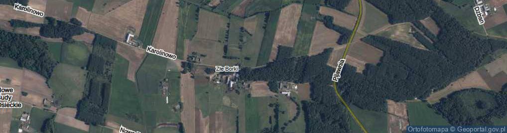 Zdjęcie satelitarne Złe Borki ul.